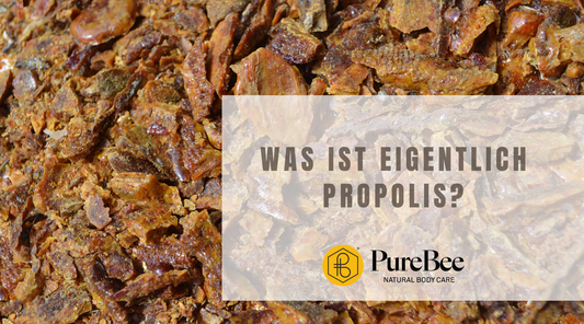 Was ist Propolis?