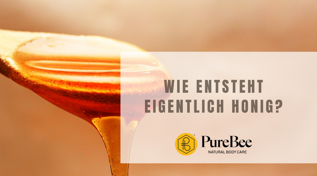 So entsteht Honig