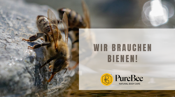 Wir brauchen Bienen!