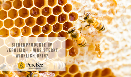 Bienenprodukte im Vergleich: Was steckt wirklich drin?