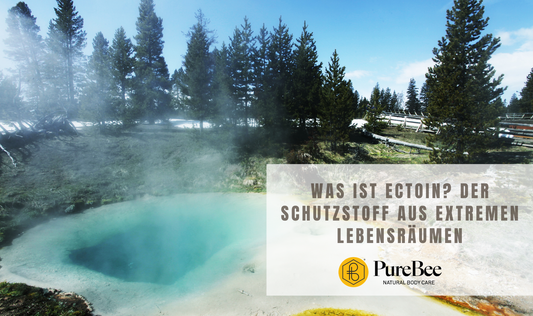 Was ist Ectoin? Der Schutzstoff aus extremen Lebensräumen