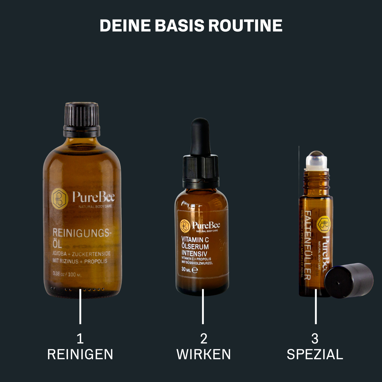 BASIS ROUTINE LINIEN + REGENERATION