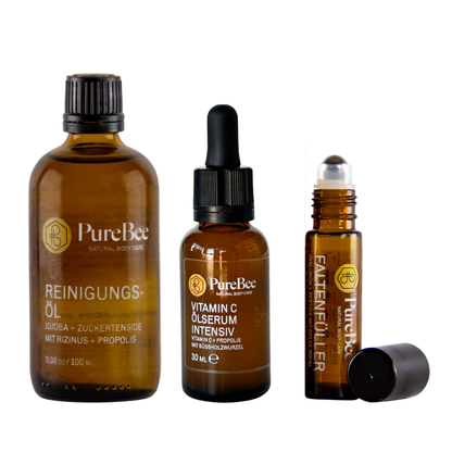 BASIS ROUTINE LINIEN + REGENERATION